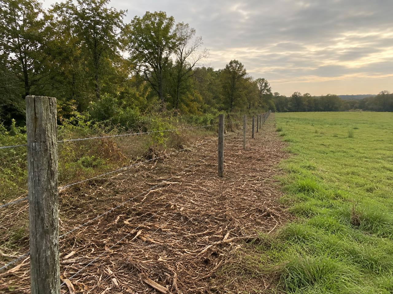 Cleared fence line along a pasture